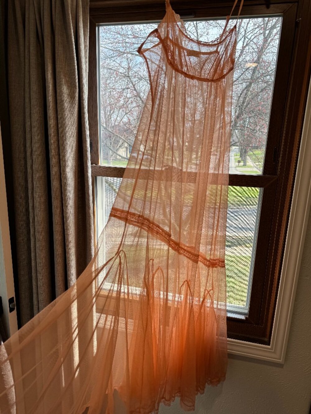 Free People Intimately FP Sheer Lace Maxi Dress